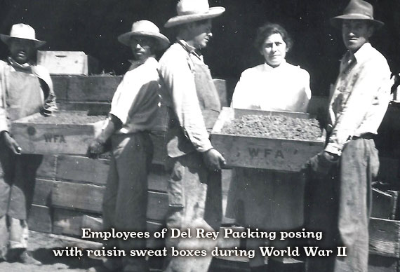 Raisins | Friends of the Fresno Fair - Armenian Exhibit
